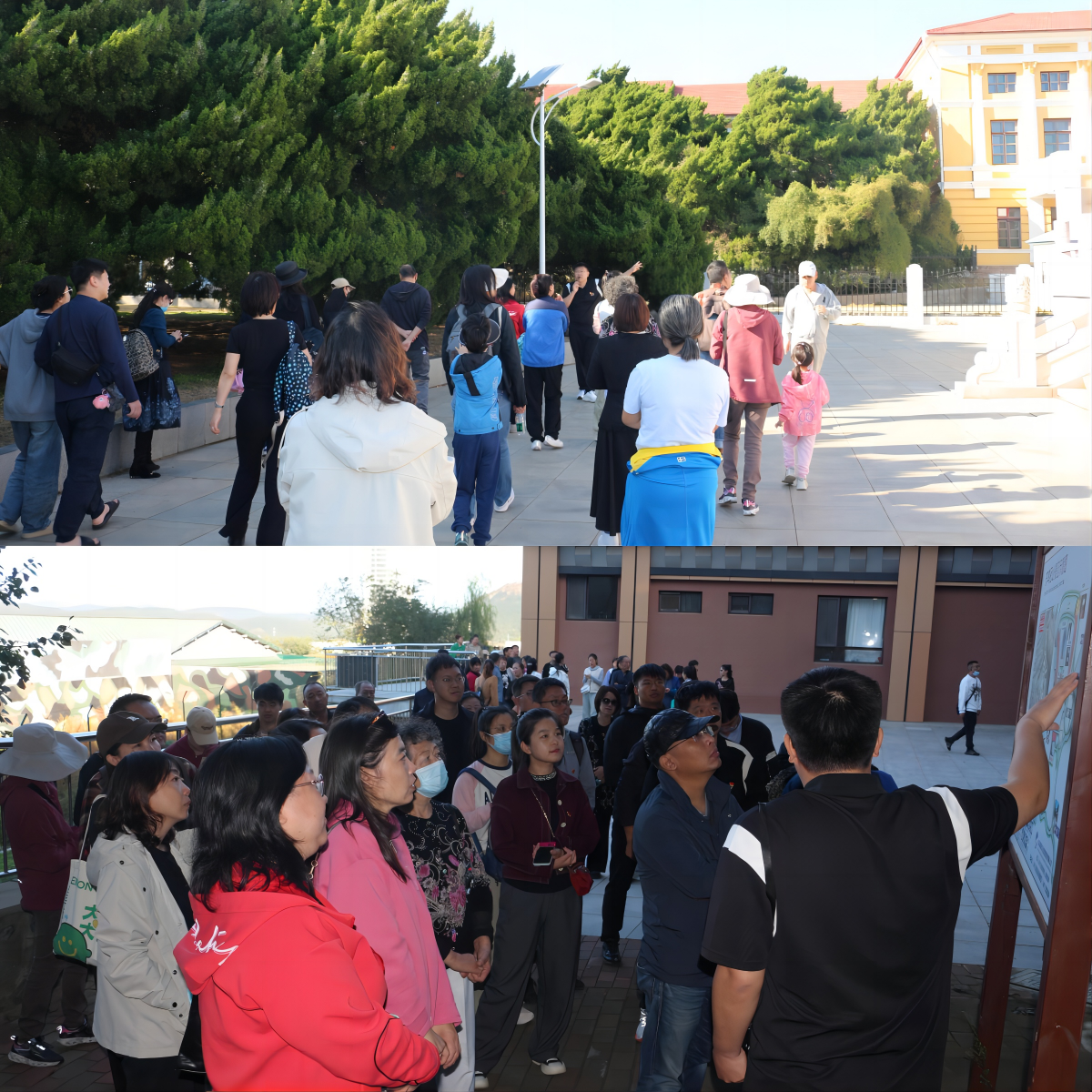 1729048382348287.png WPS拼图2.png